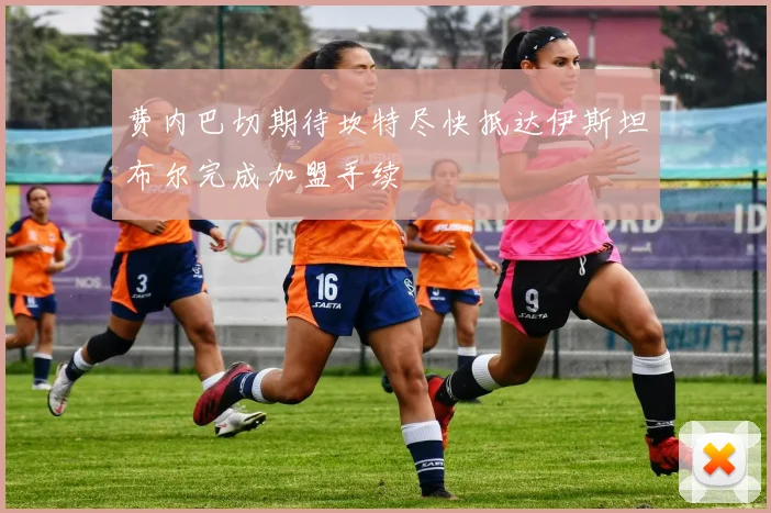 费内巴切期待坎特尽快抵达伊斯坦布尔完成加盟手续